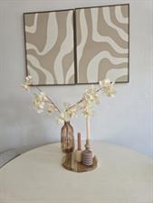 Room for rent 1195 euro Potgieterstraat, Utrecht