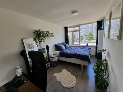 Apartment for rent 550 euro Rapenburchdreef, Utrecht