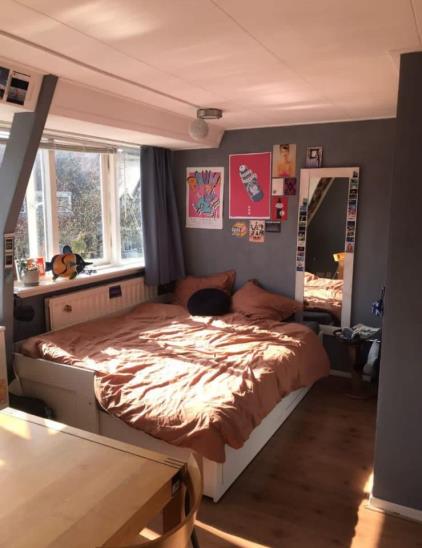 Room for rent 445 euro Adriaen Brouwerstraat, Leeuwarden