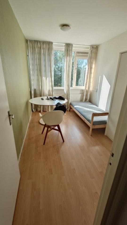 Kamer - Frankenhorst - 2171VD - Sassenheim