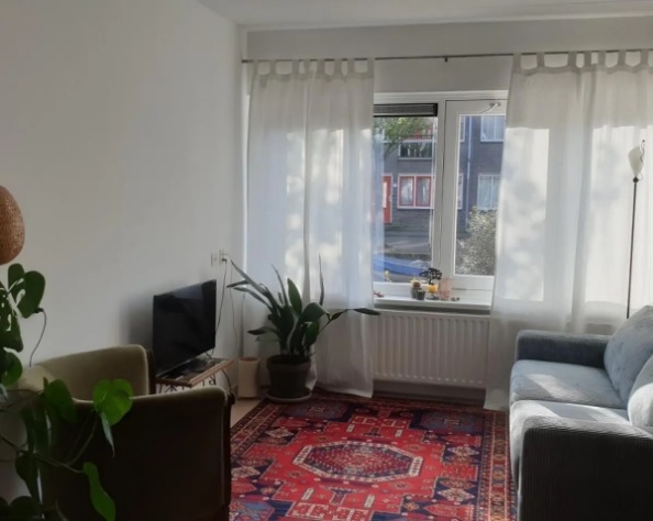 apartments for rent on Oranjegracht
