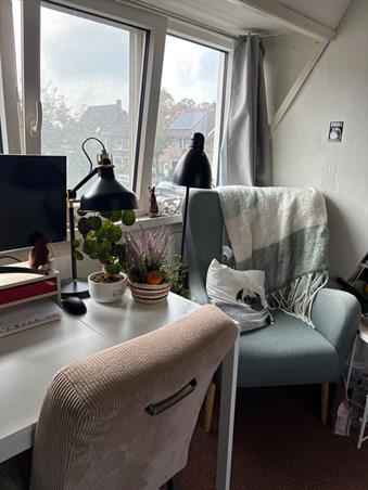 Zimmer bei Beethovenstraat In Leeuwarden