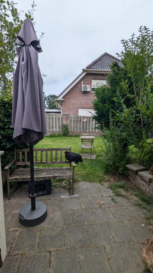 Appartement - Kuipstraat - 7891JM - Klazienaveen
