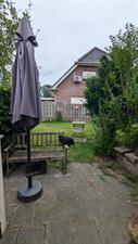 Appartement te huur 1000 euro Kuipstraat, Klazienaveen