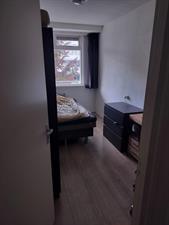 Room for rent 555 euro Van Borselenstraat, Arnhem