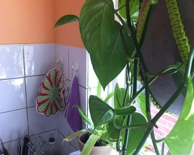 Wohnung bei Ooievaarhof In Utrecht