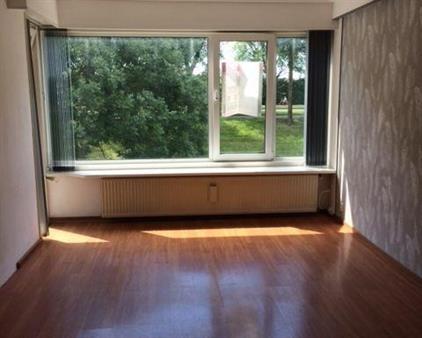 Room for rent 450 euro Schiedamseweg Beneden, Rotterdam
