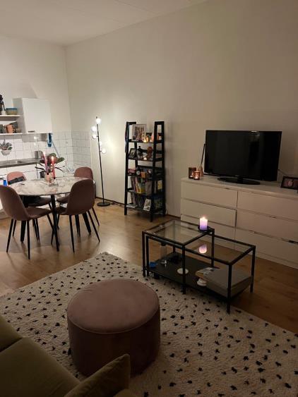 Appartement te huur 750 euro Nassau Odijckstraat, Den Haag