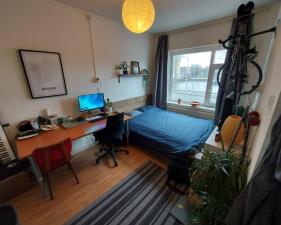 Room for rent 490 euro Oosterhamrikkade, Groningen