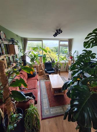 Zimmer bei Ebrodreef In Utrecht