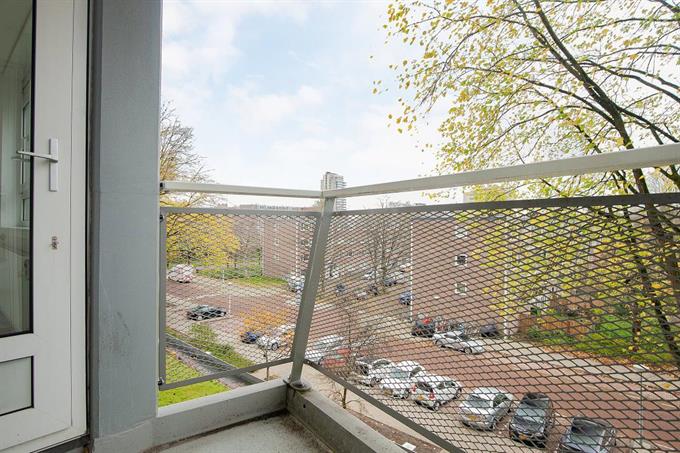 Zimmer bei De Boelelaan In Amsterdam