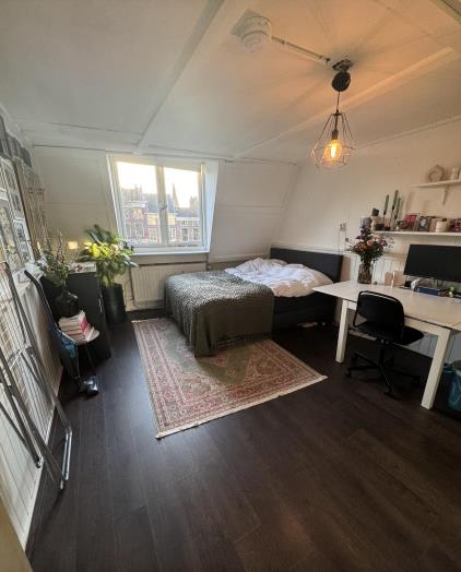 Room for rent 700 euro Oudegracht, Utrecht