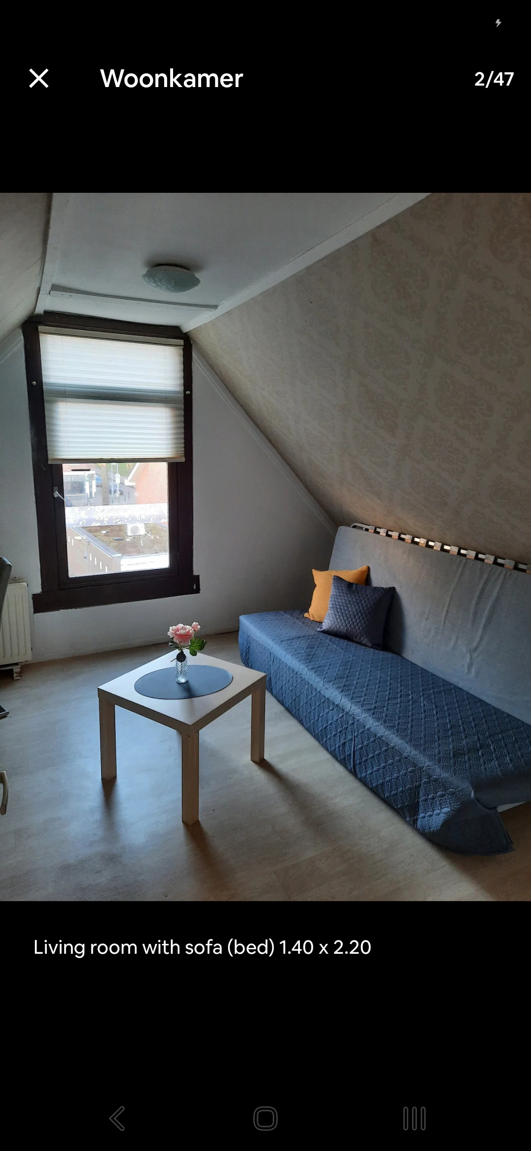 Wolphaertstraat