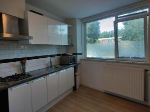 Room for rent 900 euro Ganzenveldstraat, Amsterdam