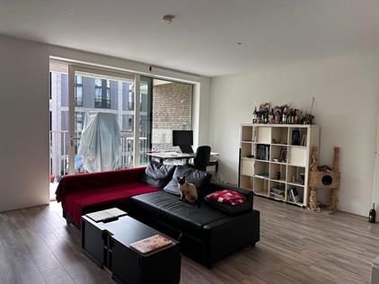 Wohnung zu vermieten 2150 Euro Amstelvlietstraat, Amsterdam
