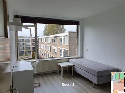 Room for rent 600 euro Stuart Millstraat, Rotterdam
