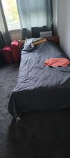 Apartment for rent 550 euro Camphuysenstraat, Groningen