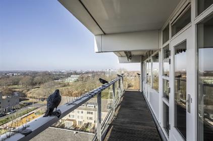 Room for rent 1800 euro Fleerde, Amsterdam