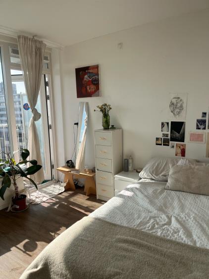 Room for rent 915 euro Rijswijkstraat, Amsterdam