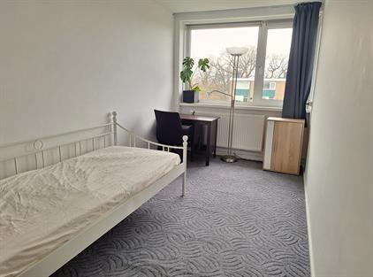 Room for rent 700 euro Roelof van Schevenstraat, Enschede