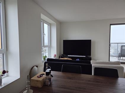 Room for rent 1050 euro Windesheimstraat, Den Haag