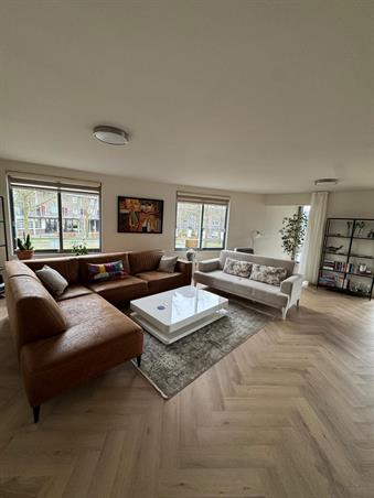Zimmer bei Kempenlaan In Amsterdam