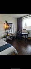 Room for rent 455 euro Zijldonk, Leiden