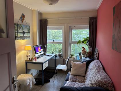 Room for rent 425 euro Petrus Campersingel, Groningen