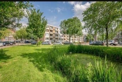 Heymansstraat