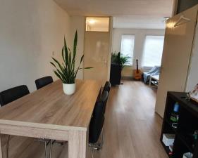Room for rent 475 euro Jaltadaheerd, Groningen