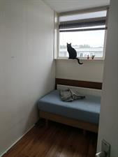 Room for rent 600 euro Valkenswaardstraat, Tilburg