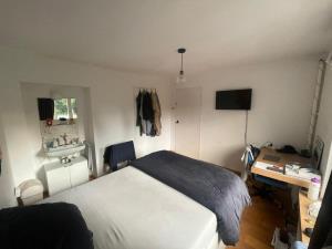 Room for rent 380 euro Piuslaan, Eindhoven