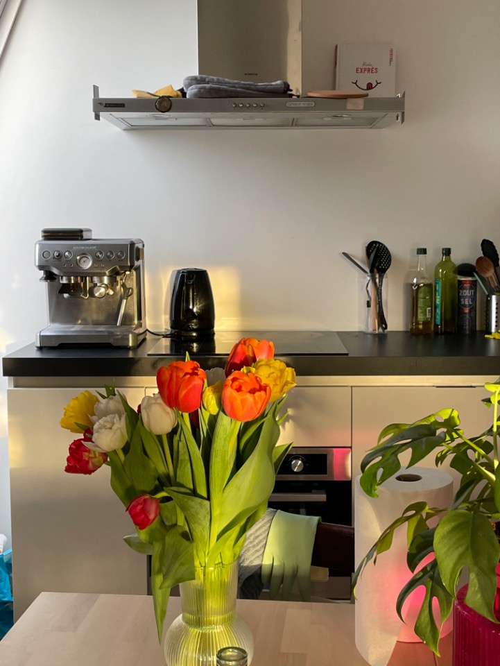 Kamer - Van Breestraat - 1071ZN - Amsterdam