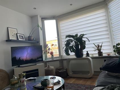 Kamer te huur 850 euro De Genestetlaan, Den Haag