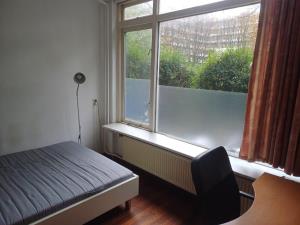 Room for rent 800 euro Herman Gorterhof, Delft