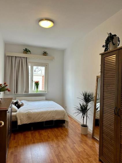 Room for rent 600 euro Denneweg, Den Haag