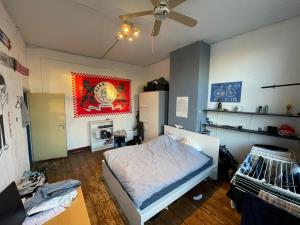 Kamer te huur 700 euro Spoorsingel, Delft