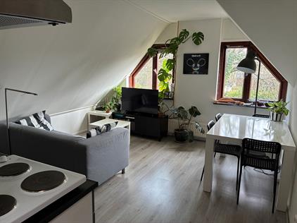 Apartment for rent 950 euro Nieuwe Mollenhutseweg, Nijmegen