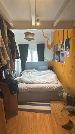 Kamer in Delft, Oude Delft op Kamernet.nl: Room in Student House in the Centre of Delft