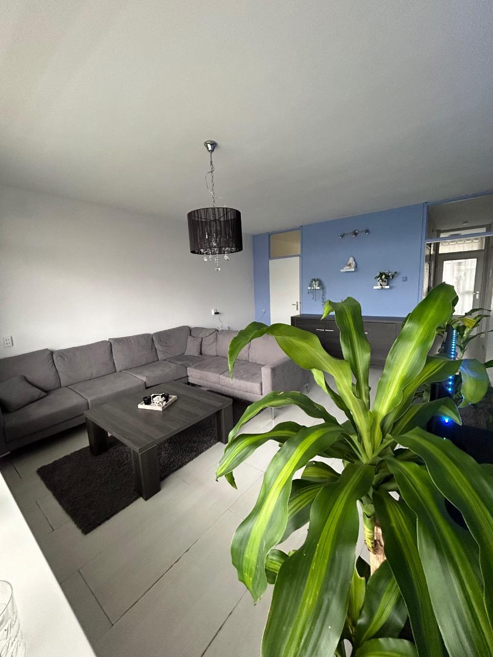 Kamer aan Keulsevaartstraat, Weesp 7