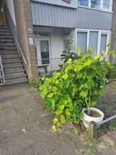 Studio te huur 805 euro Cervanteslaan, Utrecht