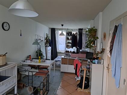 Kamer te huur 820 euro Eckartseweg Zuid, Eindhoven