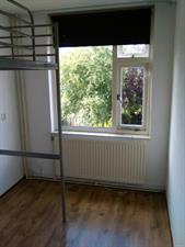 Room for rent 415 euro Framaheerd, Groningen