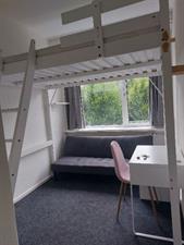 Room for rent 430 euro Mr. Franckenstraat, Nijmegen