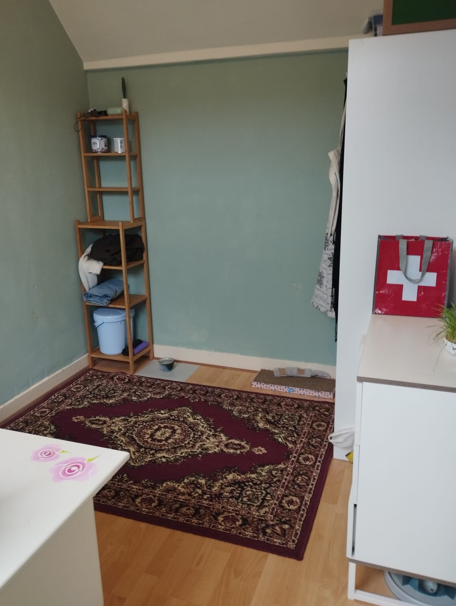 Burgemeester van der Werffstraat