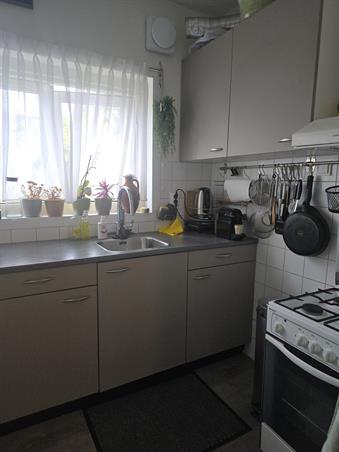 Zimmer bei Medanstraat In Utrecht