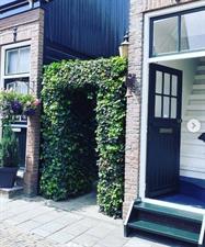Kamer te huur 550 euro 1e Harenmakersdwarsstraat, Zaandam