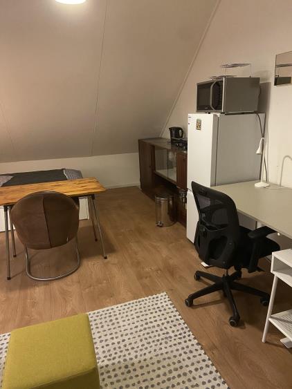 Room for rent 325 euro Dunantlaan, Pijnacker