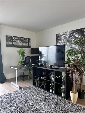 Zimmer bei Arenberglaan In Breda