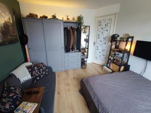 Room for rent 700 euro Teding van Berkhoutstraat, Haarlem